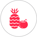 Special Curated Pinacolada Flavour