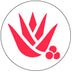 Aloe Vera, Vitamin E Lubricants 