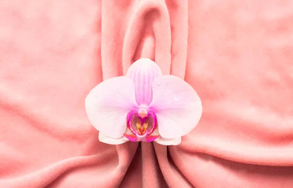 Defining Clitoris
