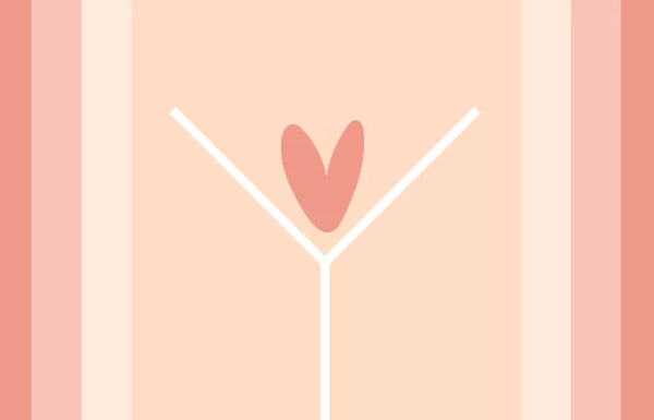 What is the pubic mound?